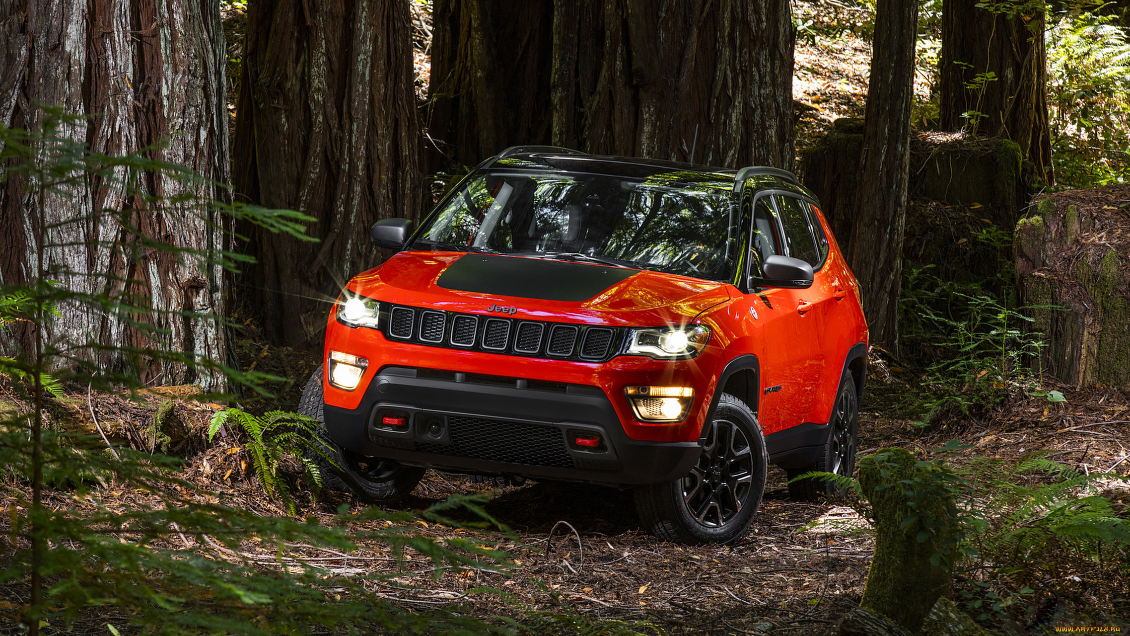 jeep compass trailhawk 2017, , jeep, compass, trailhawk, 2017